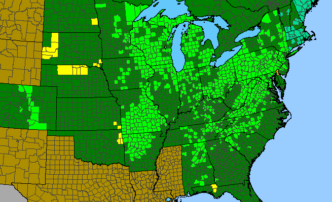 The range of Physocarpus opulifolius